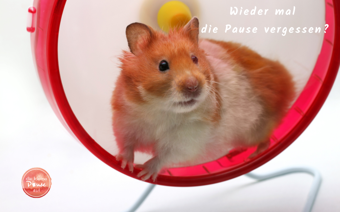 Wieder mal die Pause vergessen?